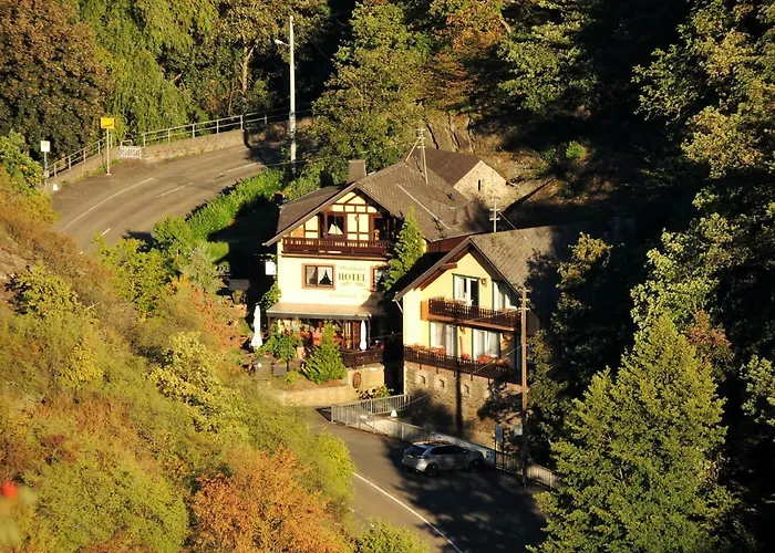 호텔 Cafe Herrmanns Muehle 3*